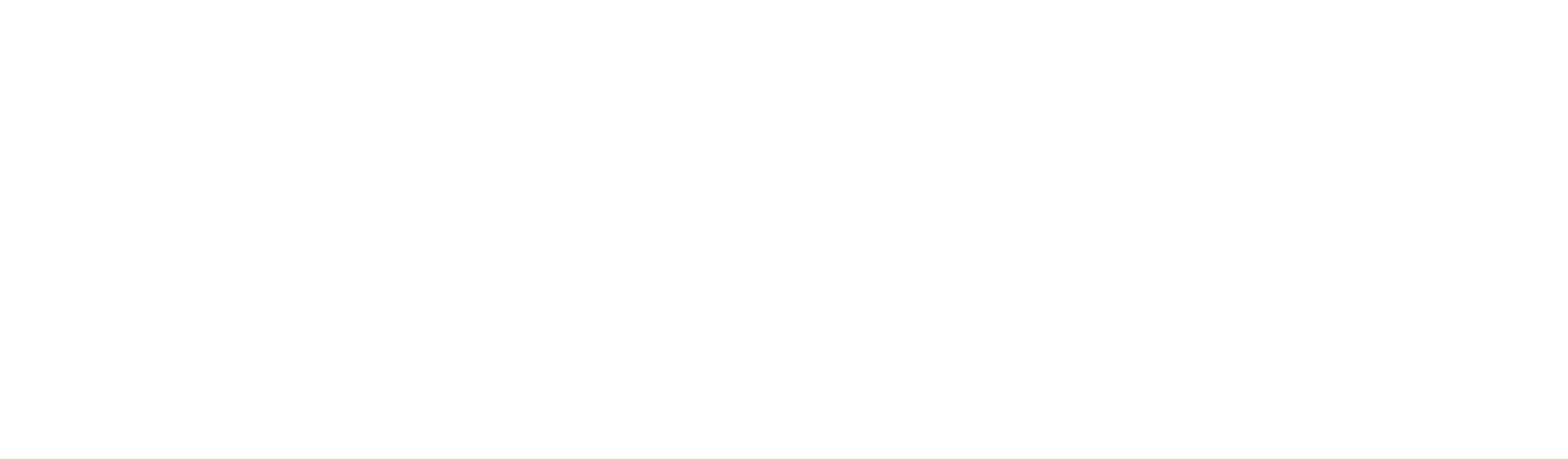 BYS-IT